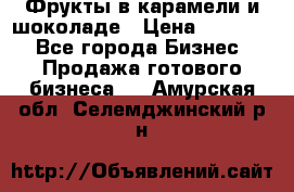 Фрукты в карамели и шоколаде › Цена ­ 50 000 - Все города Бизнес » Продажа готового бизнеса   . Амурская обл.,Селемджинский р-н